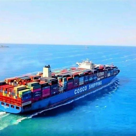 中国からのイタリア ネザーランド スペインへの海空の輸入の貨物促進プロセス