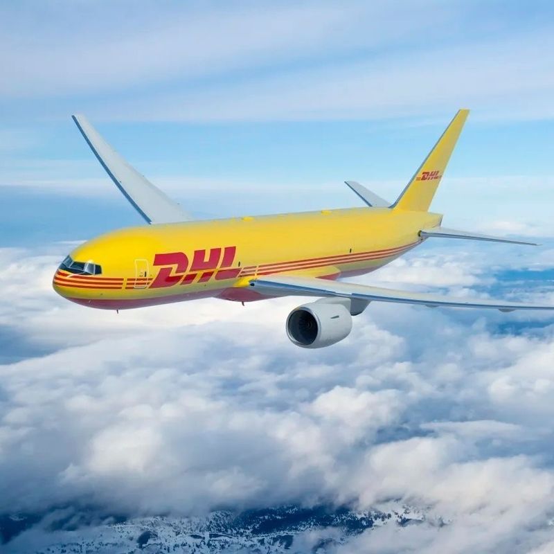 配分兵站学およびネザーランドの通商航路へのサービス管理DHLの航空貨物を貯蔵すること
