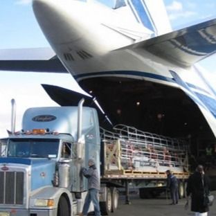 DDPは中国からの米国ネザーランドおよびカナダの船積みに国際的な航空貨物の運送業者を持ち上げる