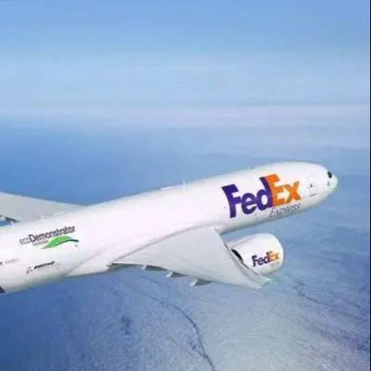 中国からのパキスタンの発送取扱店DHL FEDERAL EXPRESSへの各戸ごとの航空貨物は表現する