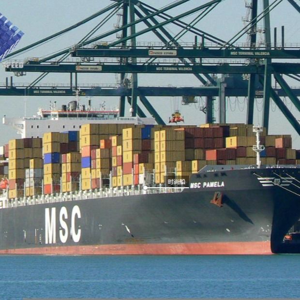 中国からのイタリアへのCheapest Shipping Freight Forwarder Company EXW LCL Fob国際海運