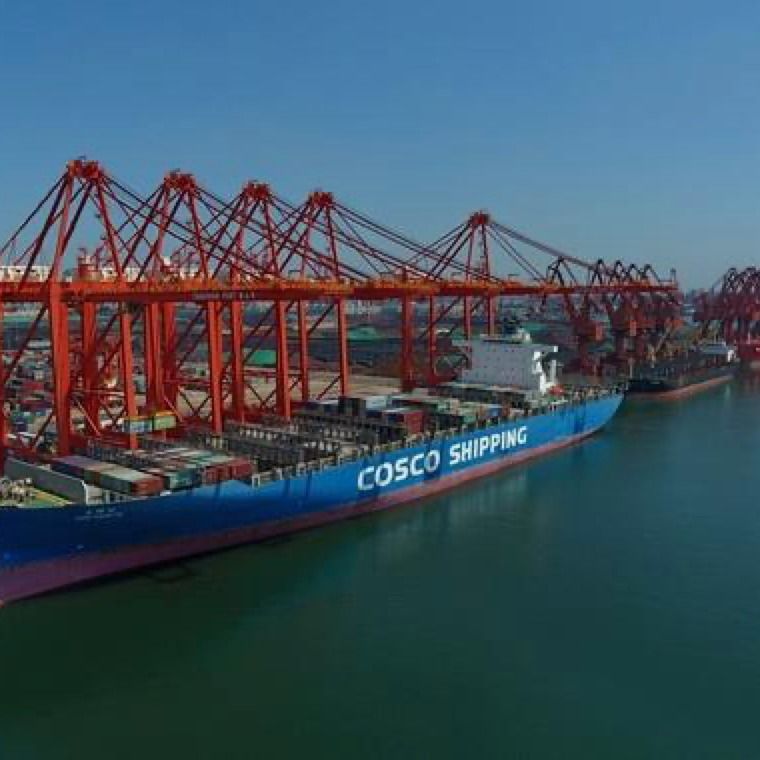 3cヨルダン3日間のExwの貨物運送業者への全体的な低下の船積みの中心FOB LCLの海中国