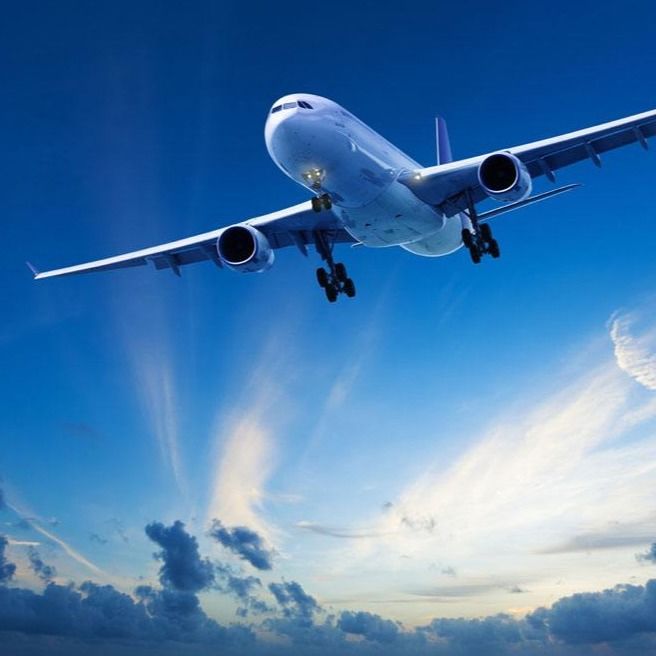 中国からのフランスの容器の貨物運送業者20GP 40GPの容器の航空貨物へのShopify Dropshippingインターナショナル