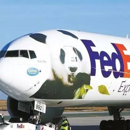 フランスへの速達便はDHL Federal Expressの各戸ごとの国際海運を持ち上げる