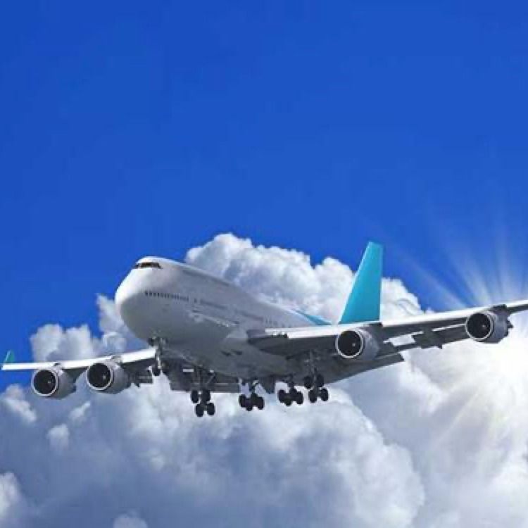 上海中国からマレーシアに各戸ごと兵站学国際的なFEDERAL EXPRESS DDP DDUを貯蔵する