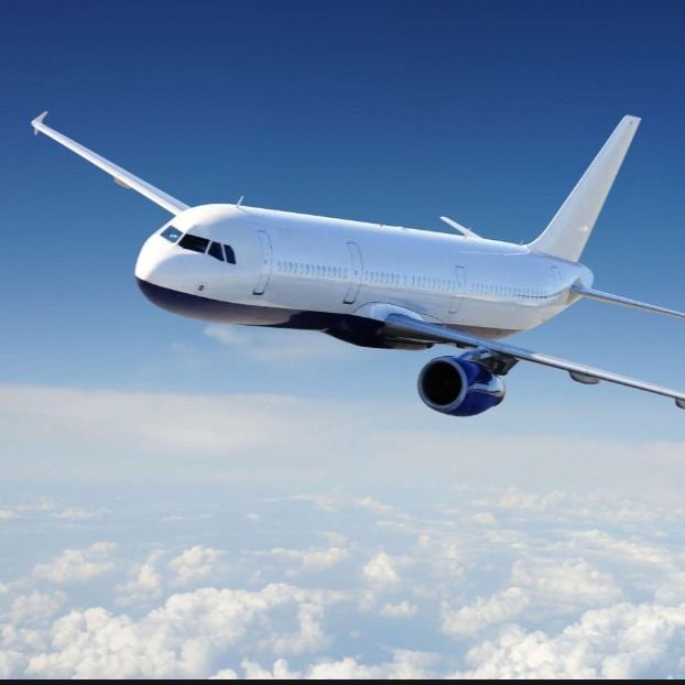 DHL上海中国からのアメリカ人への2-4 Day Shipping Freight Forwarder Company